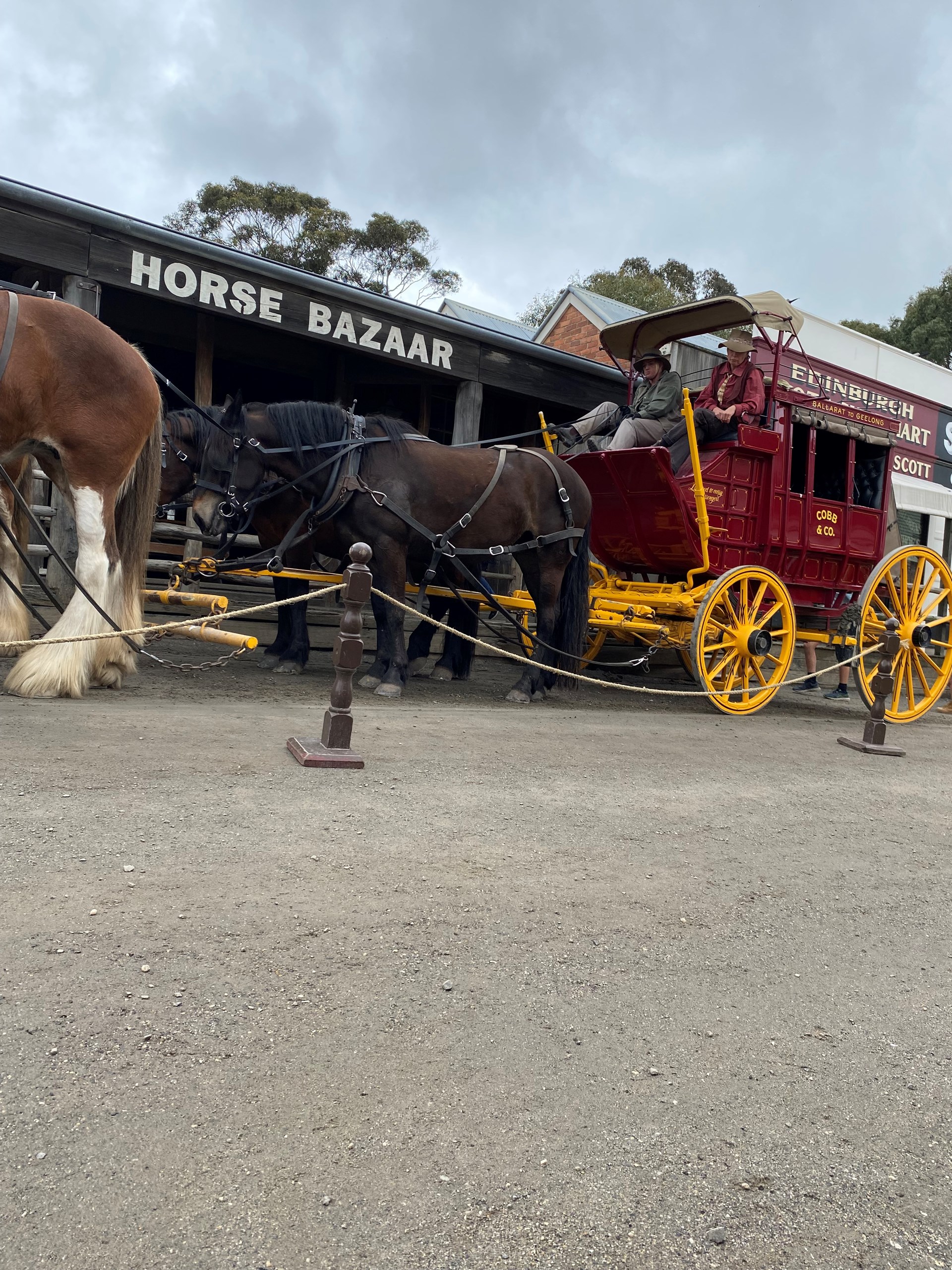A Small Local Primary School in Bundoora